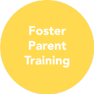 foster training
